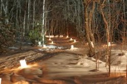 illuminated trail